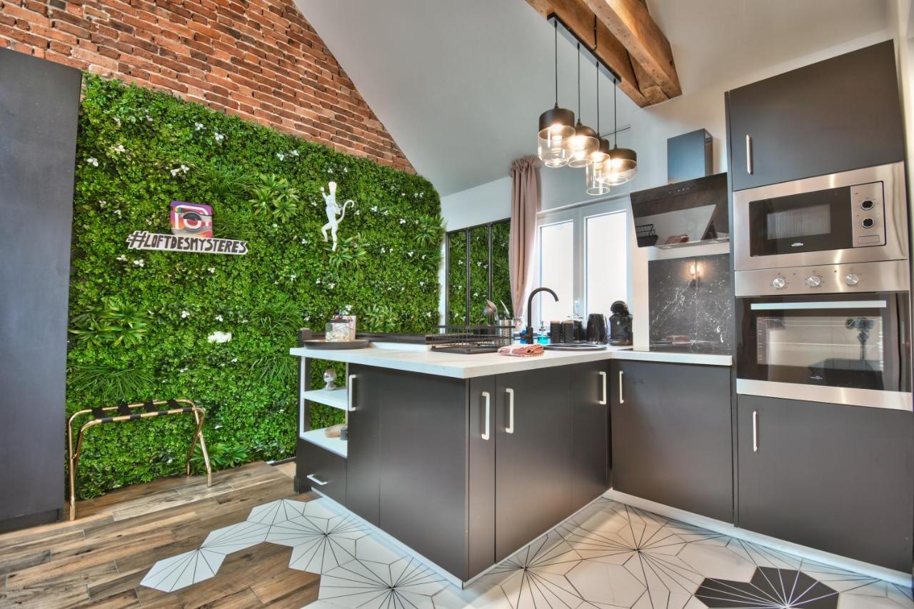 Appartamento * Le LoFt Des MysTèrEs * Maintenon Esterno foto